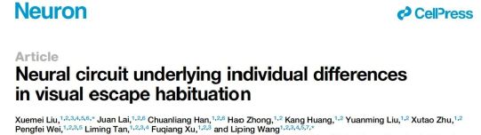 脑声常谈丨深圳先进院王立平团队2025年研究成果汇总(图3)