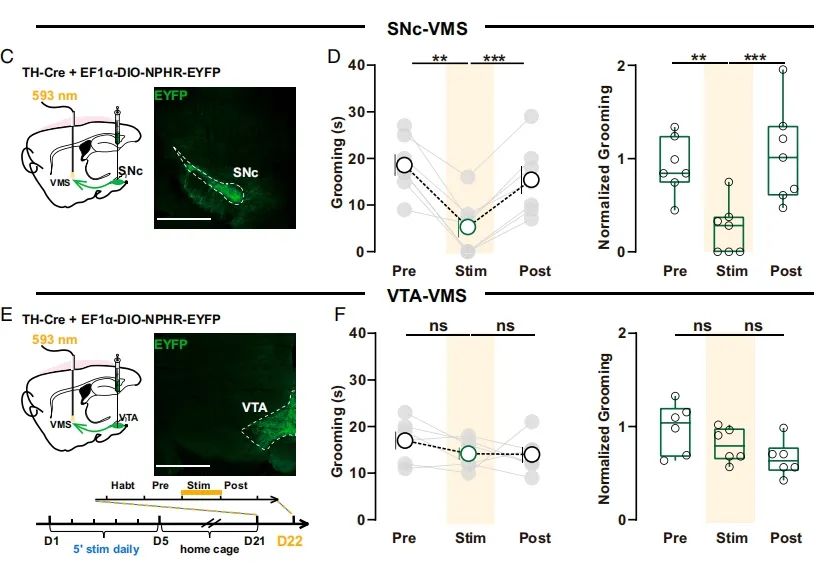 王玉哲：学习历史学科应具备的态度(图1)