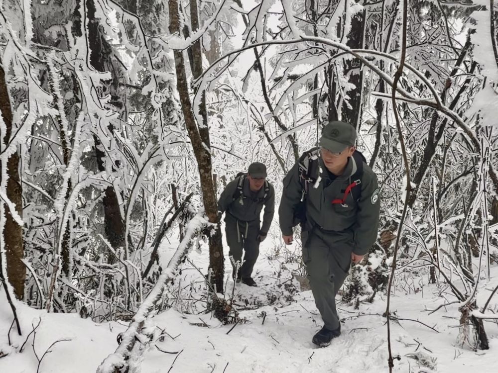 新春走基层·记者体验360行我当野生动物监测员(图1)