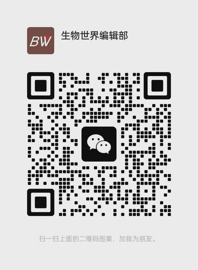 疼痛为何在晚上更明显？中科大最新Science：揭开疼痛昼夜差异的神经机制(图3)