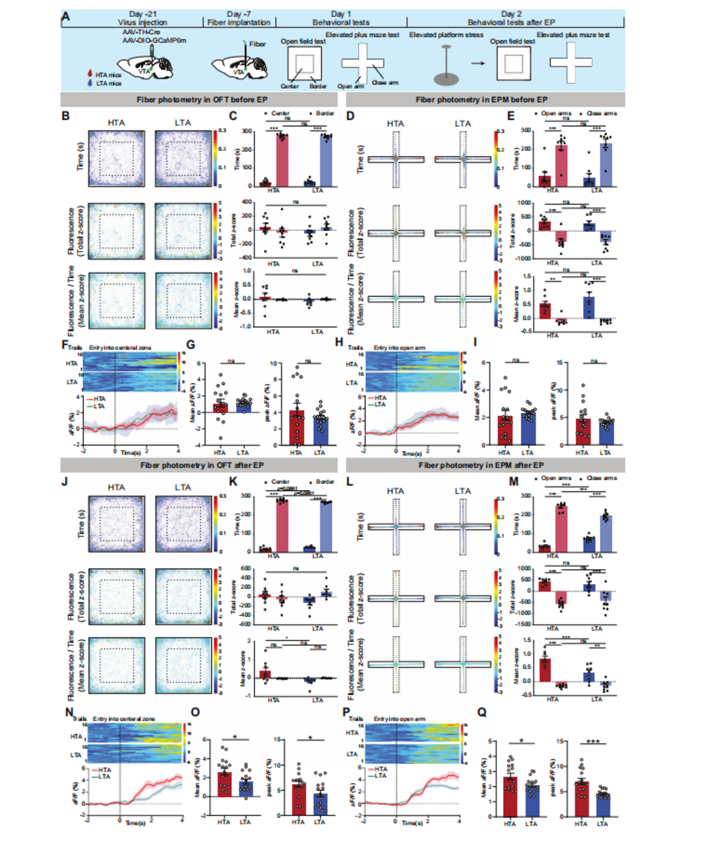 Nat子刊：田波(图3)