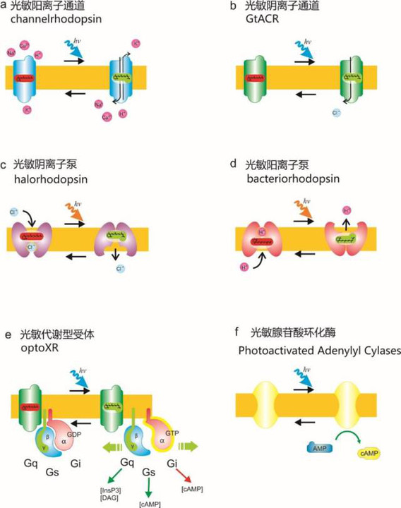 智能网-OFweek新能源汽车网(图1)