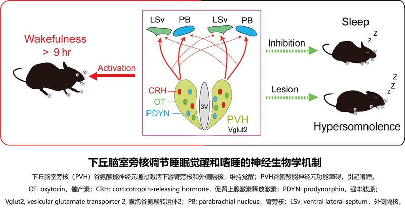 上海科技奖今天颁发C919大飞机等国之重器获奖背后透露了什么信息(图1)
